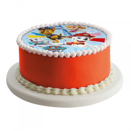 Disque A Gateau Pat Patrouille 16 Cm