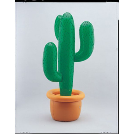 Cactus Gonflable Deco Anniversaire Theme Mexique