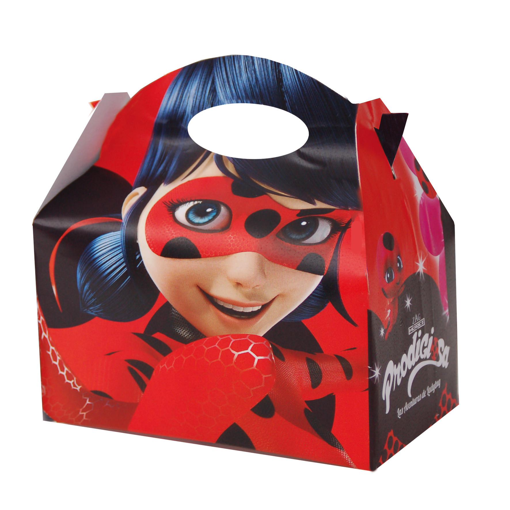 Boite Miraculous Ladybug