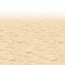 Wallpaper Decor Plage De Sable Fin Pour Une Reception Exotique For Android