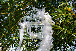 cage oiseaux cage oiseau pour déco salle