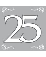 Lot de 20 serviettes anniversaire en Argent 33 x 33 cm - 25 ans.