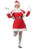Costume adulte Mère Noël - feutrine - taille unique