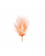 plumes orange