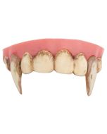 Dentier de vampire dents sales