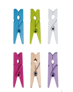x24 Mini pince décorative bois - couleur au choix