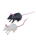 Souris en plastique - 20 cm