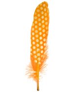 6 Plumes orange à pois