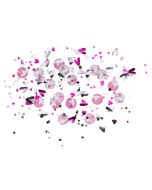 Assortiment de confettis ballerine 34g