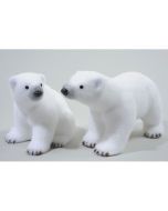 Ours polaire avec neige