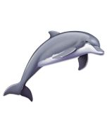 Décor dauphin