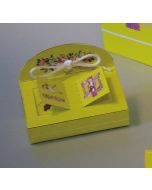 Boites livres - violette et jaune 7,5 cm x 5,5 cm 