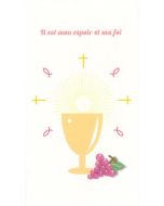 Lot de 6 Cartes de remerciement communion Fille