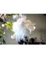 10 boules de plumes – blanc