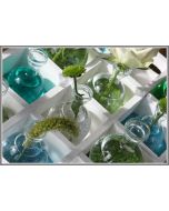 Fioles en verre rondes 4 cm - x60