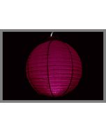 lampion fuchsia pas cher