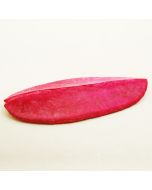 deco_table_fruit_fuchsia