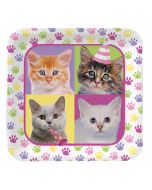 8 assiettes anniversaire thème chat