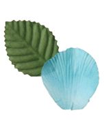 Pétales avec feuilles de coloris turquoise