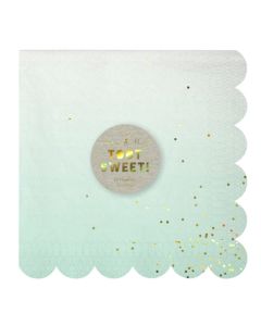 Serviette Jetable Pastel x 16