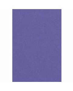 Nappe en Plastique Rectangulaire Violet
