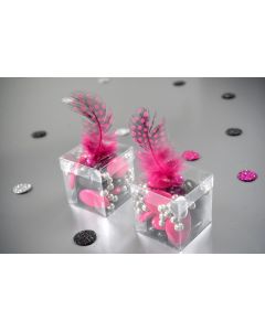 Boite dragées transparente x 6