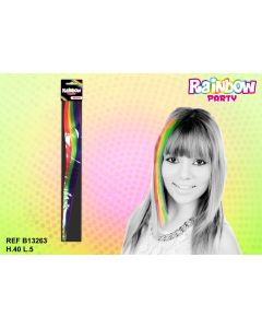Mèche Rainbow