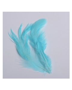 Plumes x 20 - turquoise