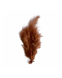 Plumes x 20 - marron