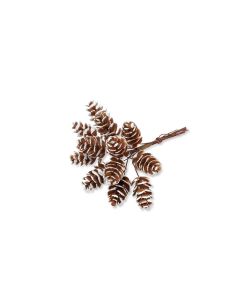 Branche de pomme de pin pour un noel traditionnel