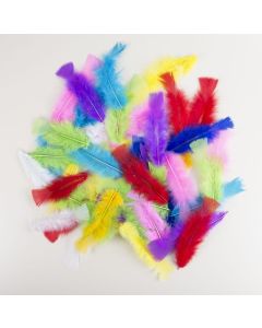 Plumes 8-12 cm - couleurs assorties - sachet de 50