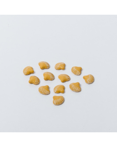 12 coquillages ivoire adhésifs 2 cm