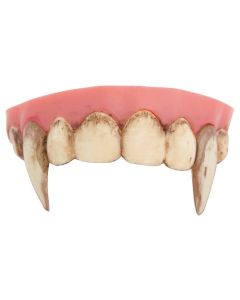 Dentier de vampire dents sales