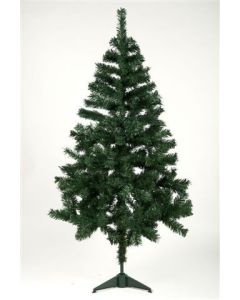 Sapin Canadien – 300 branches