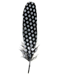 6 Plumes noires à pois 