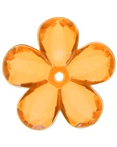 10 Fleurs oranges