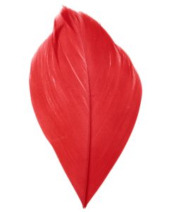 Sachet 100 plumes rouges