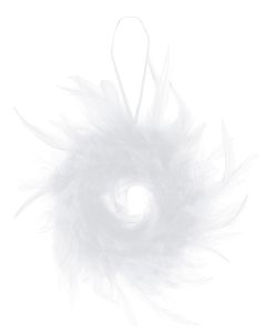 Couronne Plume