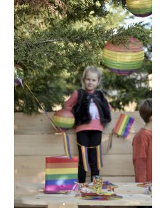 Lanternes Arc En Ciel multicolor - x2