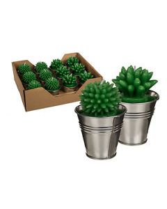 Bougie cactus à prix discount