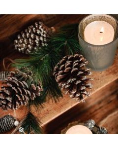 Branche de sapin et pomme de pin pailletées argent pas chère