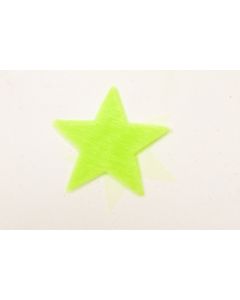 Etoiles en organza - anis