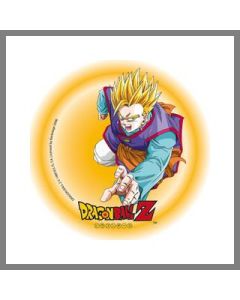 disque gateau dragon ball z