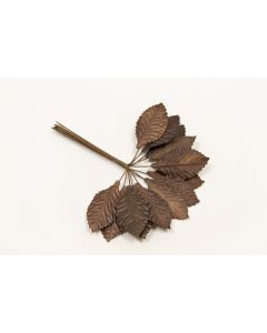 Feuilles sur tige - Marron