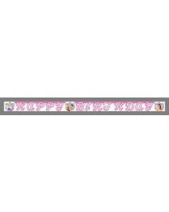 Guirlande "Happy Birthday" Princesse Glamour