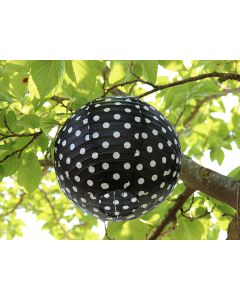 lampion pois noir