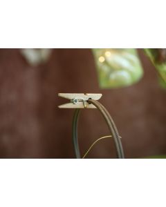 Pinces en bois naturel