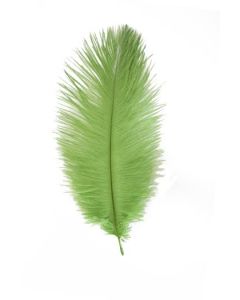 plumes autruche vert anis