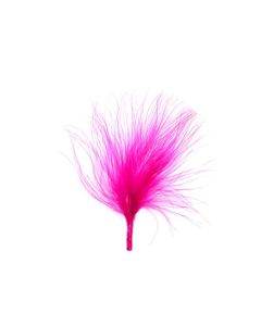 plumes fuchsia