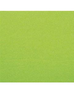 40 Serviettes jetables vert anis